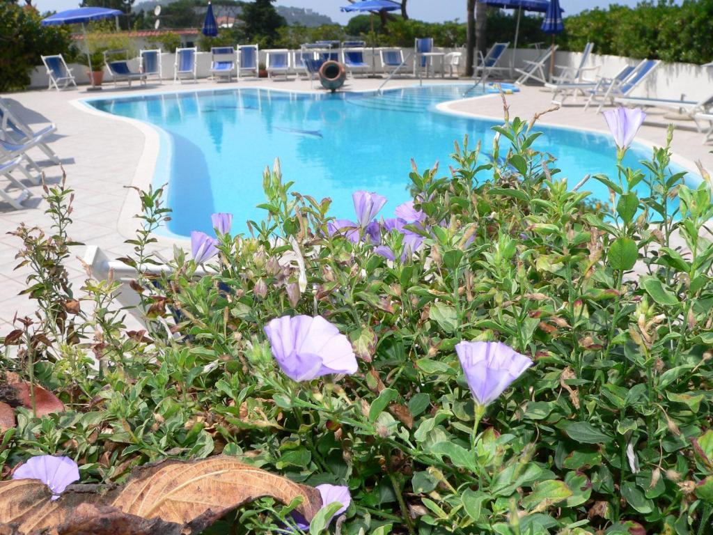 Hotel Parco Conte Casamicciola Terme Eksteriør billede