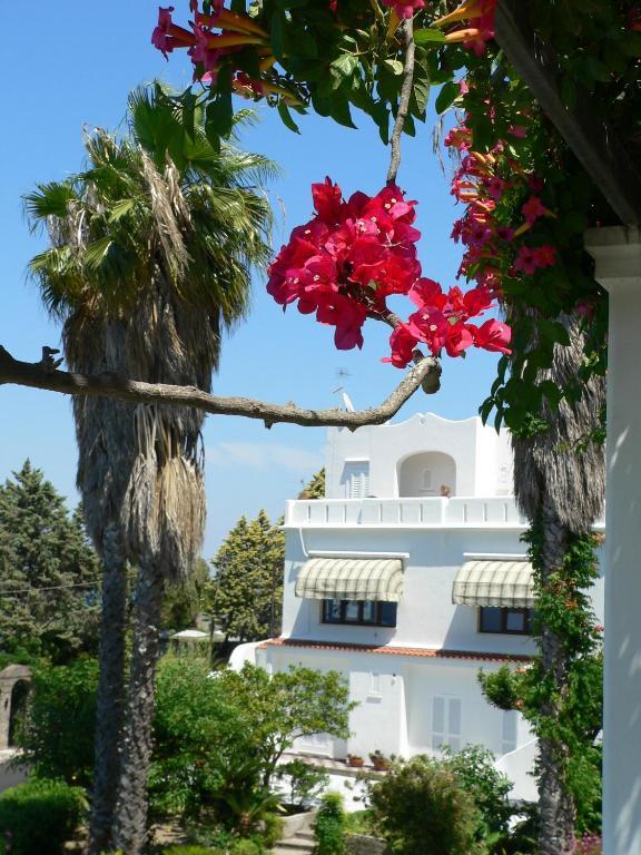 Hotel Parco Conte Casamicciola Terme Eksteriør billede